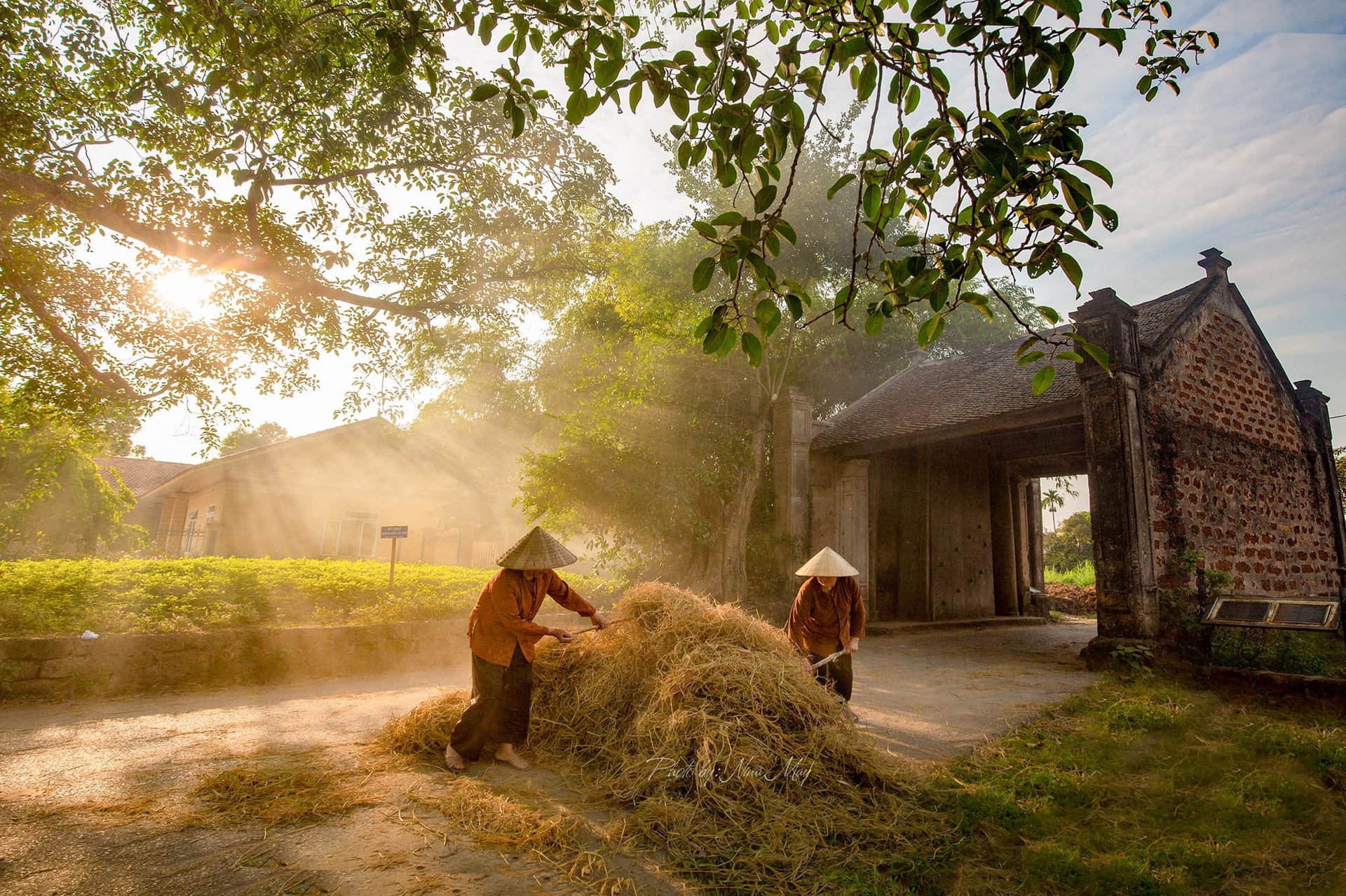 Về làng cổ Đường Lâm, ngắm cảnh yên bình khiến lòng người xao xuyến - 2