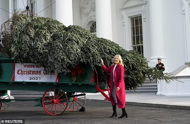 Lộ diện\' cây thông Noel giá gần 140.000 USD trang trí Nhà Trắng