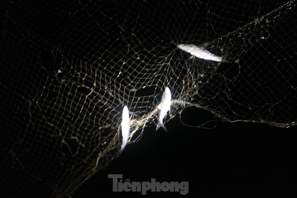 Trắng đêm săn cá trên hồ Cấm Sơn - 9