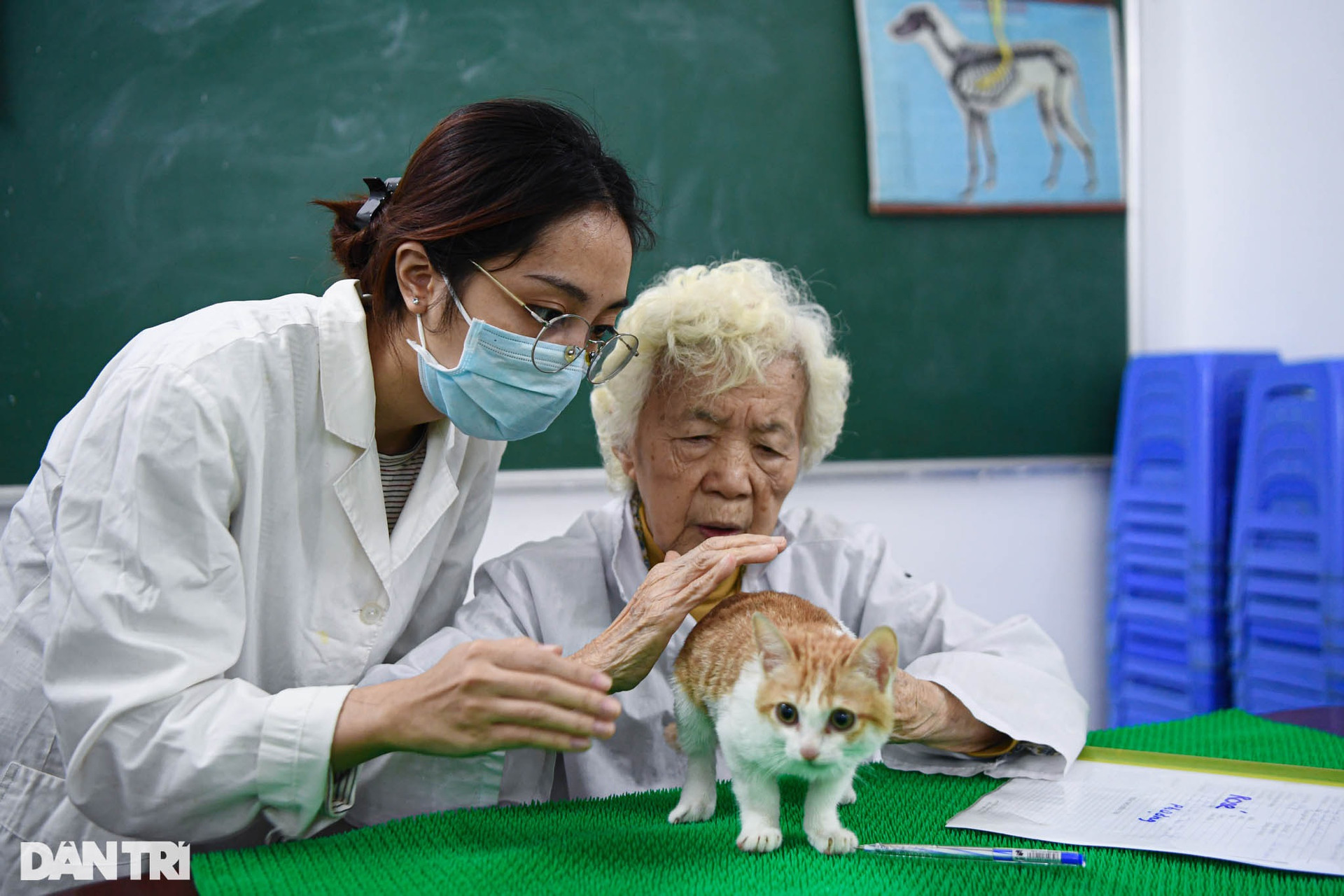 Phòng khám đặc biệt của bà giáo 88 tuổi điều trị miễn phí cho chó mèo - 2