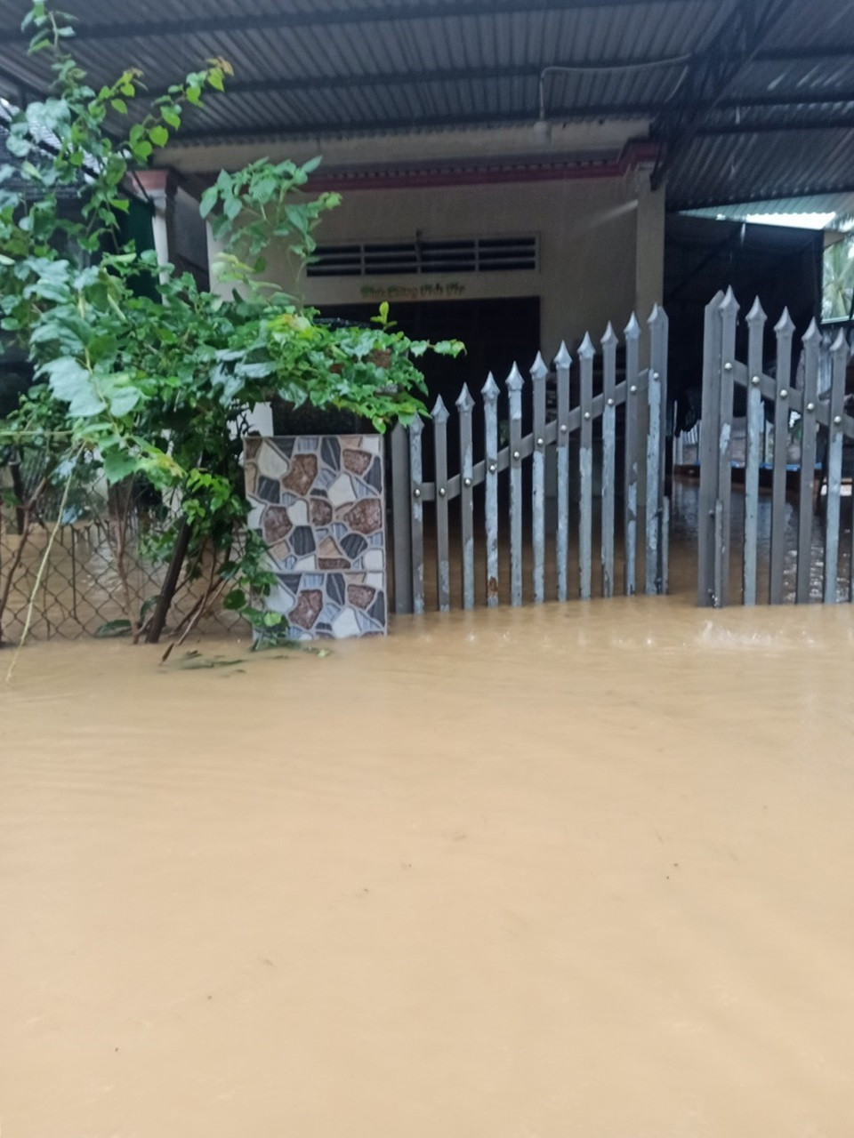 Bình Định: Mưa lớn cô lập 1.000 ngôi nhà, người dân phải sơ tán khẩn cấp  - 5