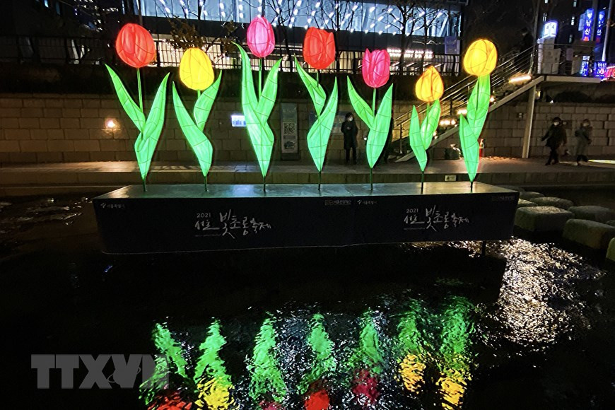 Vẻ đẹp rực rỡ của Lễ hội đèn lồng thường niên Seoul 2021 - 1