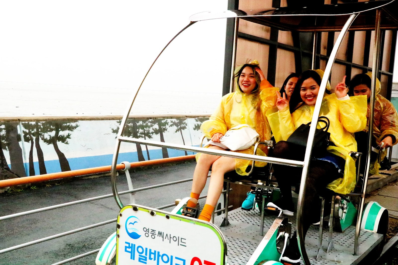 Độc đáo đạp xe trên đường ray xe lửa ở Hàn Quốc - 5