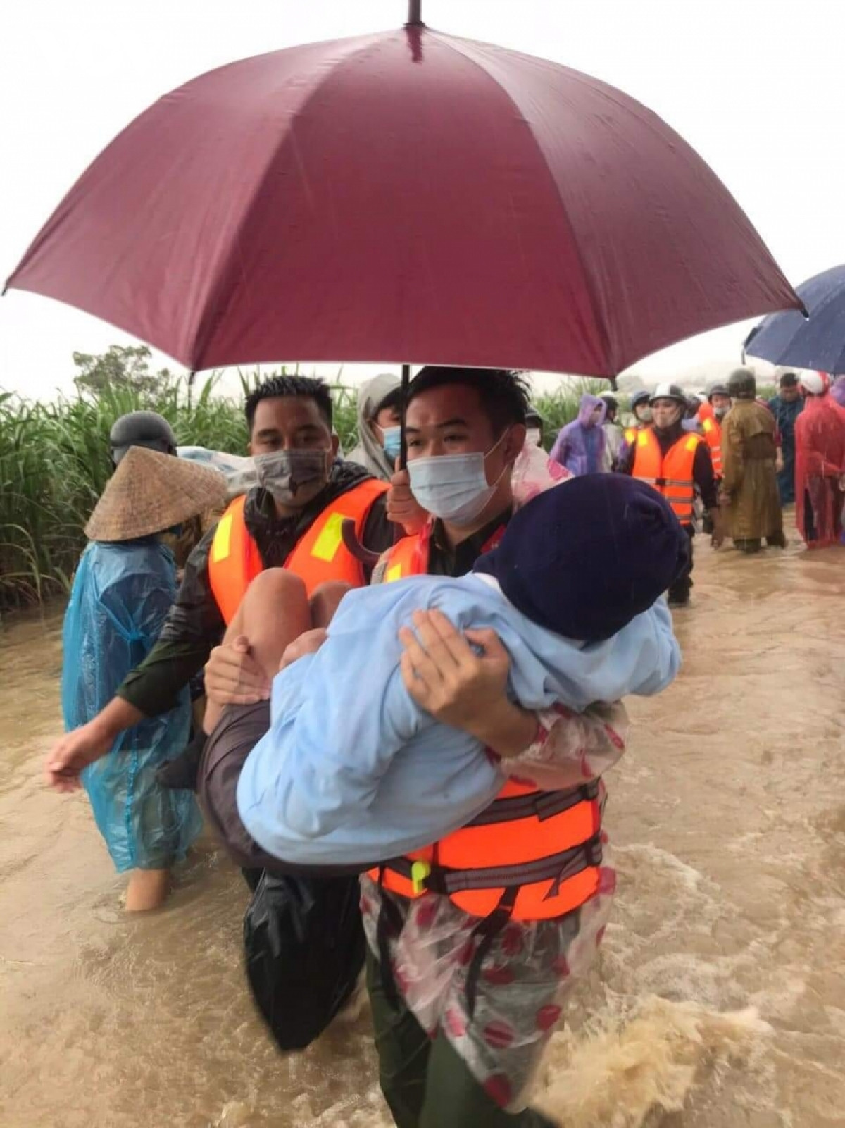 Mưa lớn gây ngập lụt nặng, Phú Yên sơ tán hơn 11.000 người dân - 7