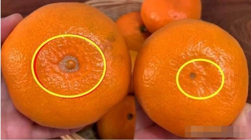 Ra chợ mua trái cây đừng chỉ chọn cam màu vàng, nhìn 6 điểm này sẽ chọn được quả ngon ngọt nhất-2