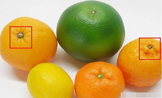 Ra chợ mua trái cây đừng chỉ chọn cam màu vàng, nhìn 6 điểm này sẽ chọn được quả ngon ngọt nhất-4
