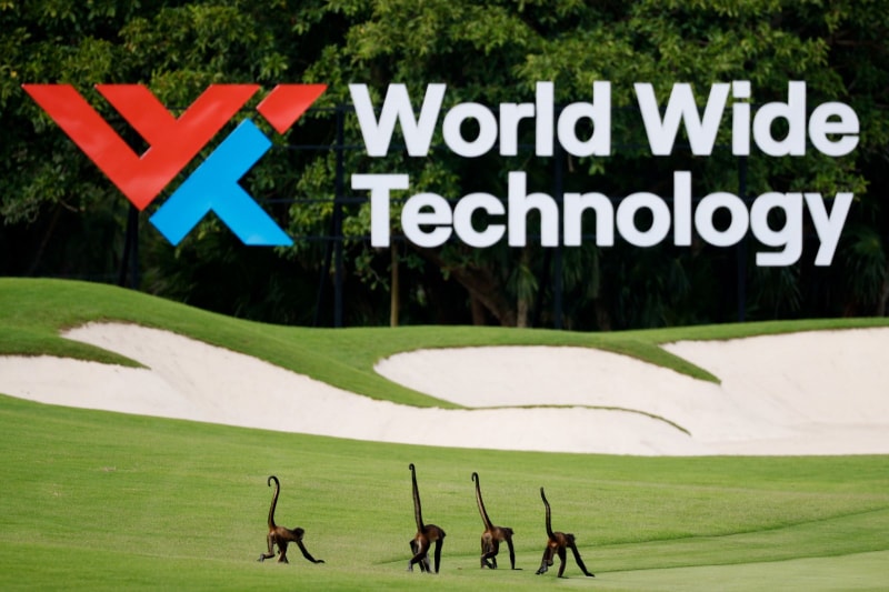 Bầy khỉ trên fairway hố 7 trong vòng hai World Wide Technology Championship 2021