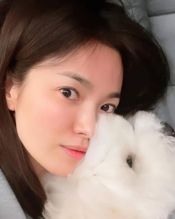 Song Hye Kyo bị chỉ trích thiếu tế nhị khi nhà chồng cũ đau buồn-2