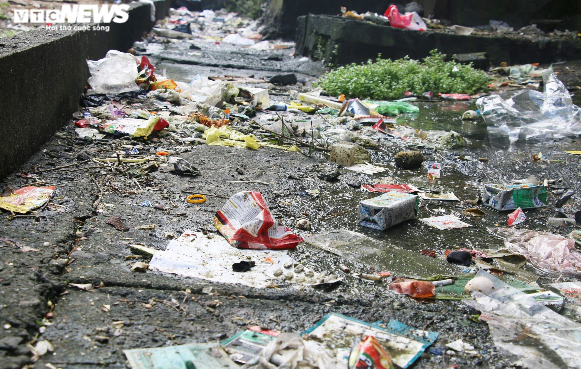 Đà Nẵng: Hàng trăm hộ dân sống thấp thỏm trong khu chung cư tàn tạ như ổ chuột - 8