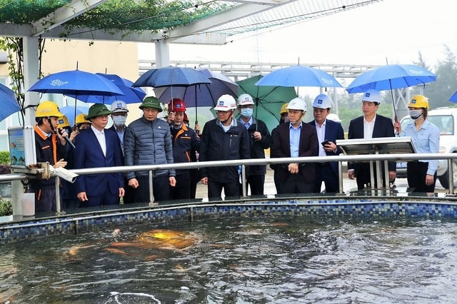 Đường dây nóng xử ô nhiễm môi trường hiệu quả... thấp - 2 Đường dây nóng xử ô nhiễm môi trường hiệu quả... thấp - 2