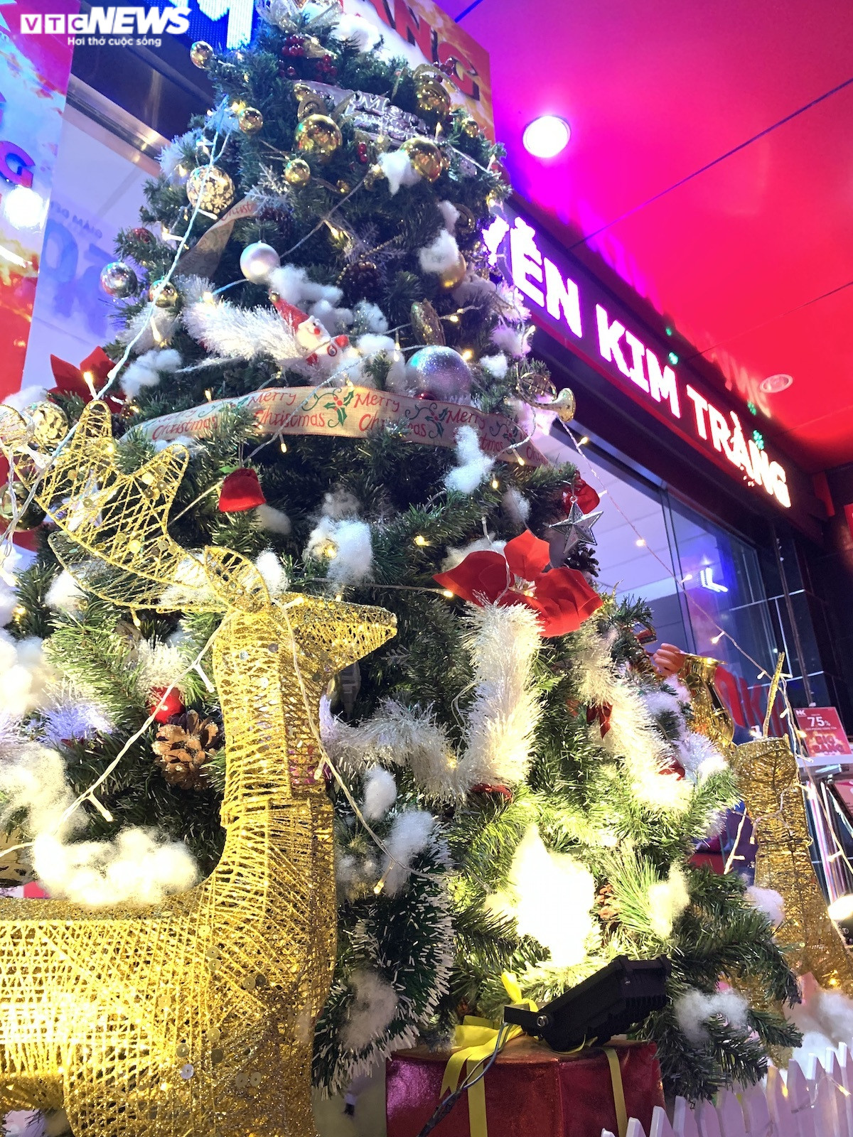 Trung tâm thương mại Hà Nội trang hoàng rực rỡ đón Giáng Sinh - 14