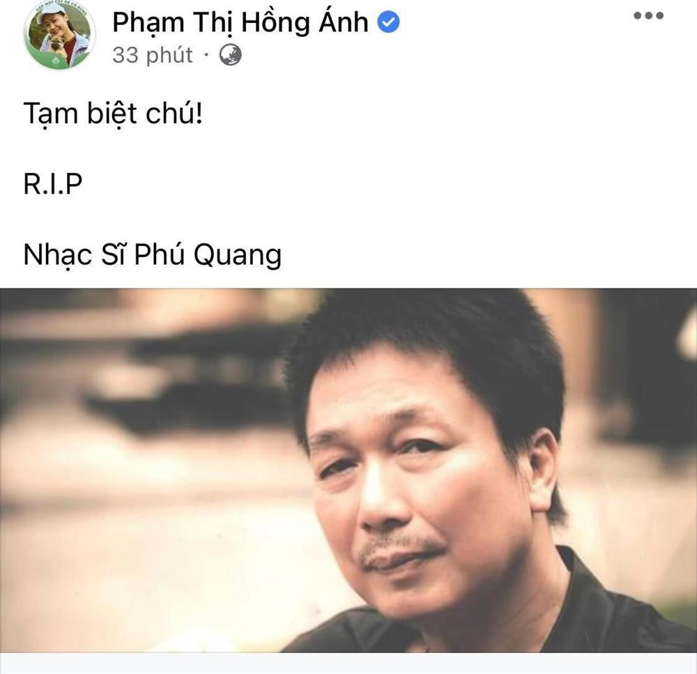 Facebook sao Việt phủ kín ảnh Phú Quang ngày buồn-11