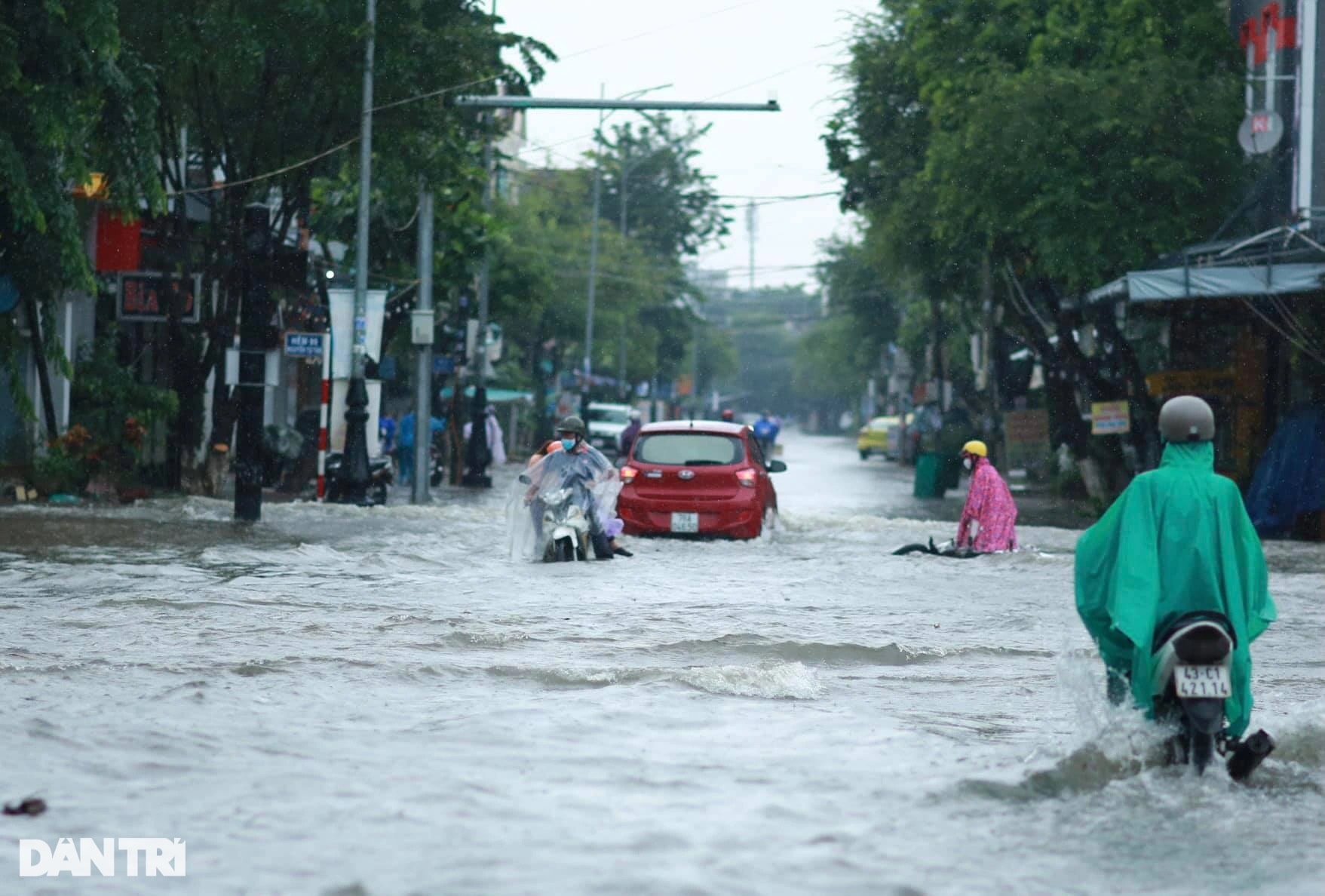 Tình trạng bơi thuyền giữa phố làm nóng nghị trường - 1 Tình trạng bơi thuyền giữa phố làm nóng nghị trường - 1