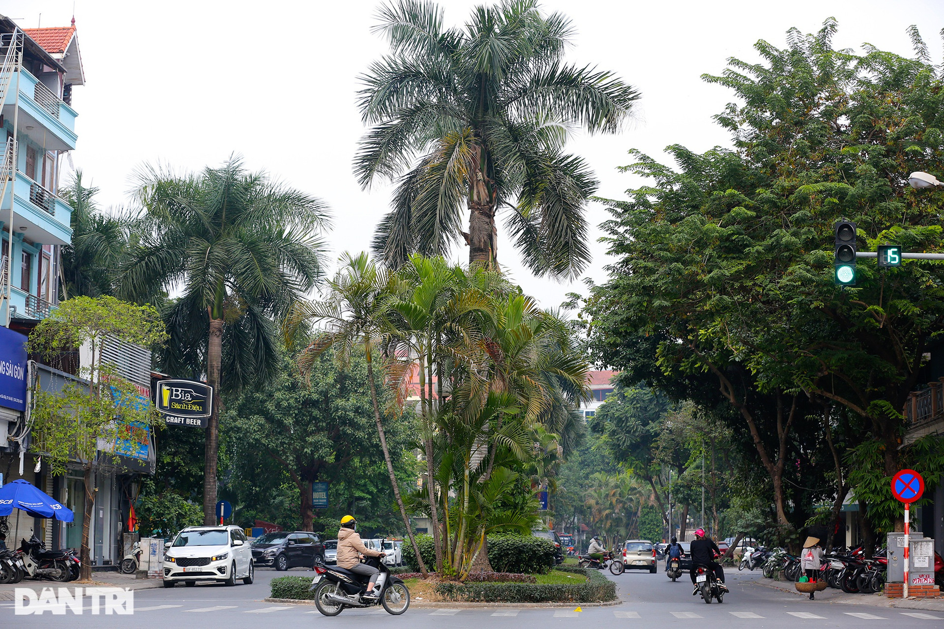 Cận cảnh 2 phố ở Hà Nội vừa được đặt tên nhà thơ Lưu Quang Vũ và Xuân Quỳnh - 5