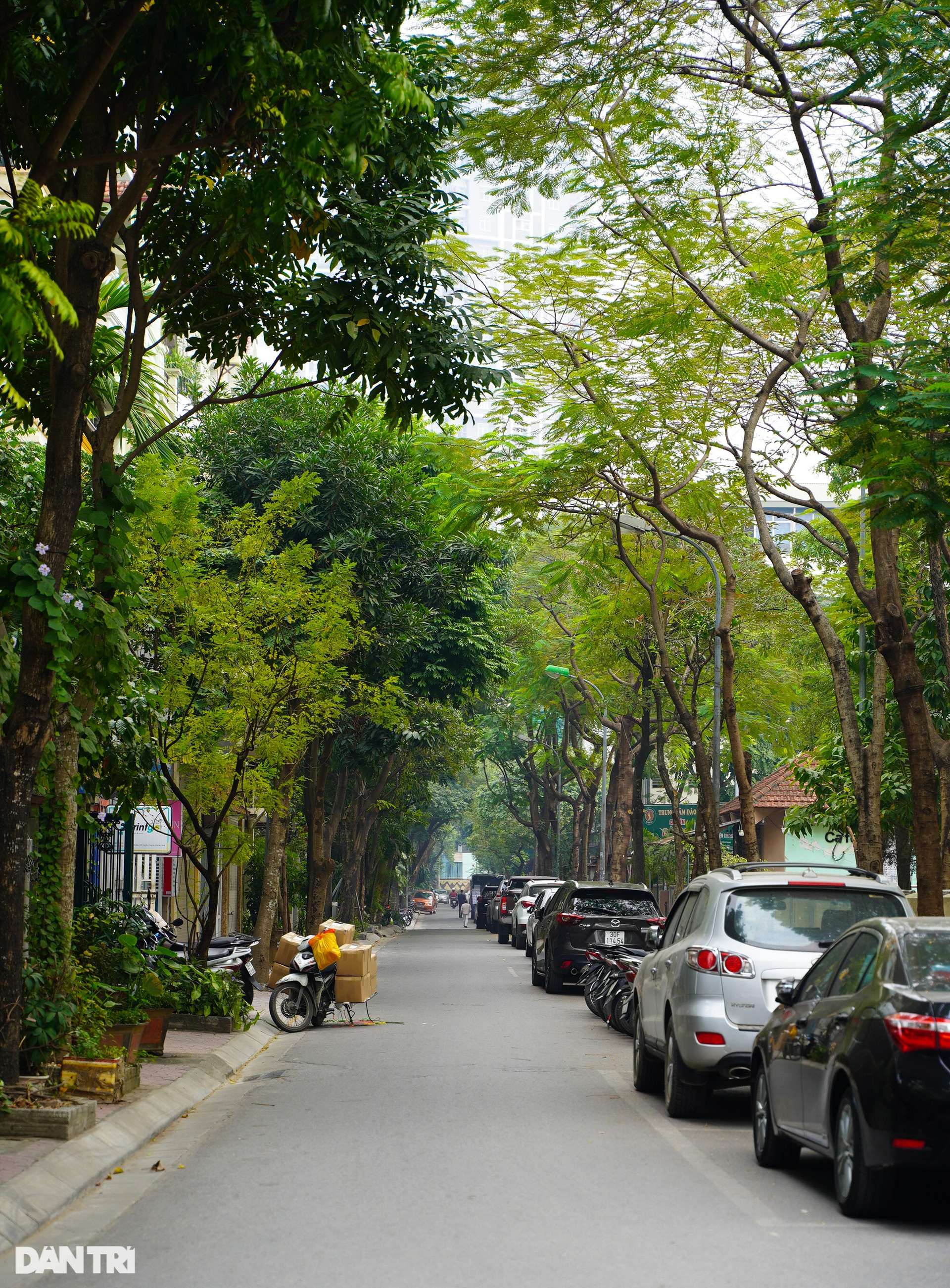 Cận cảnh 2 phố ở Hà Nội vừa được đặt tên nhà thơ Lưu Quang Vũ và Xuân Quỳnh - 9
