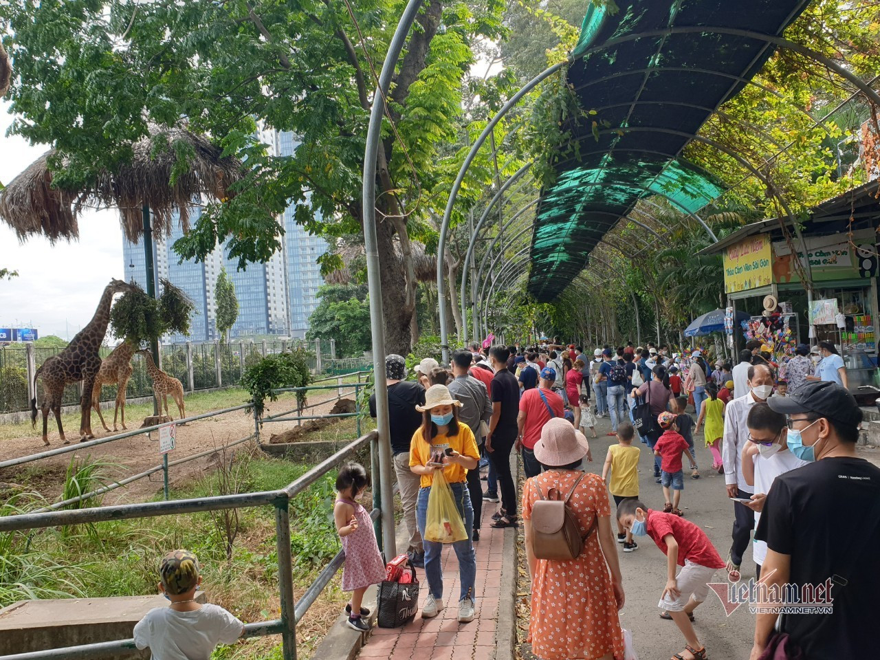 Thảo Cầm Viên Sài Gòn bất ngờ đón hàng nghìn khách vui chơi ngày cuối tuần - 5