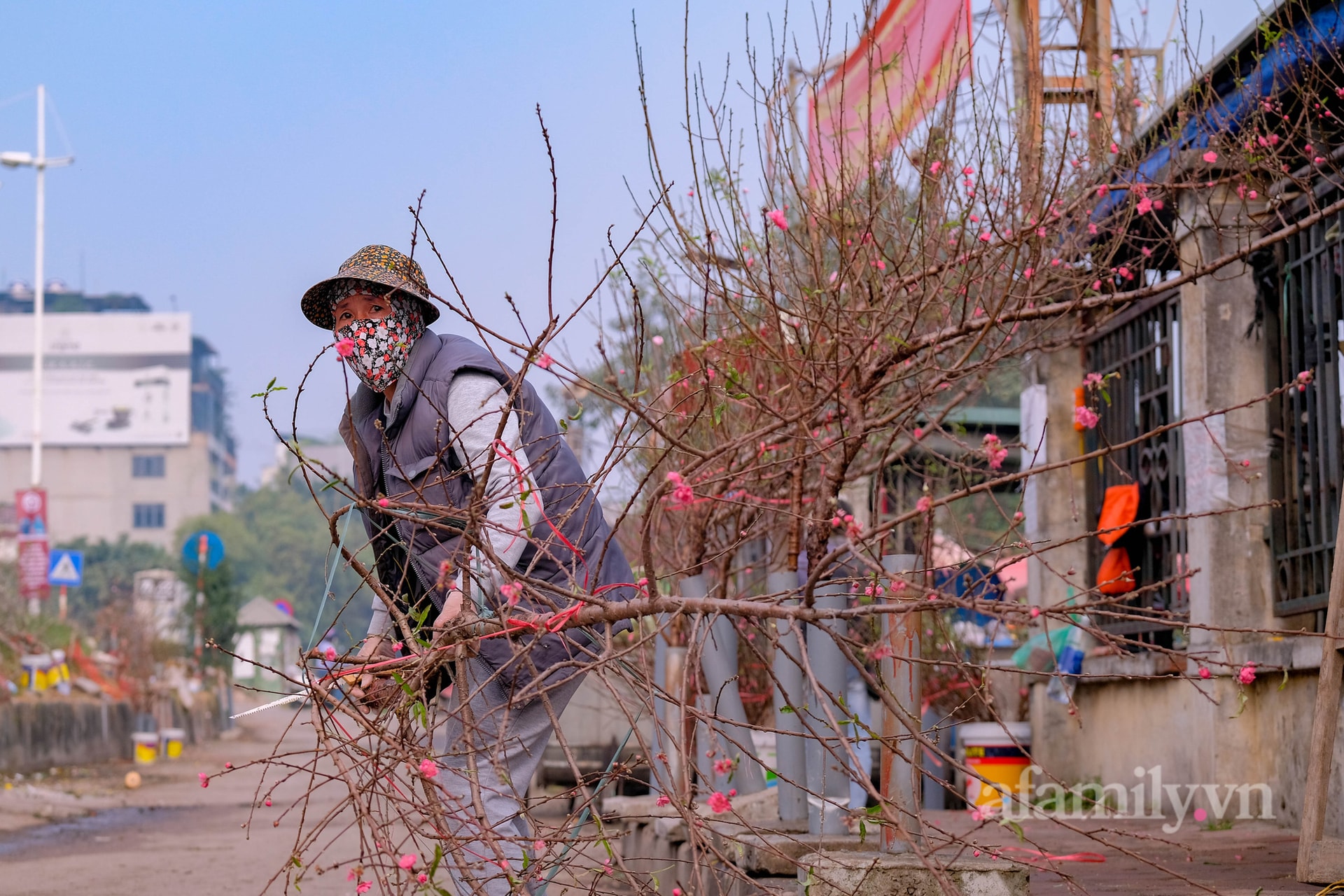 Hơn tháng nữa là Tết: Đào Nhật Tân vừa xuống phố đã bị khách mở hàng ép giá, tiểu thương thà ế chứ nhất quyết không bán rẻ - Ảnh 10.