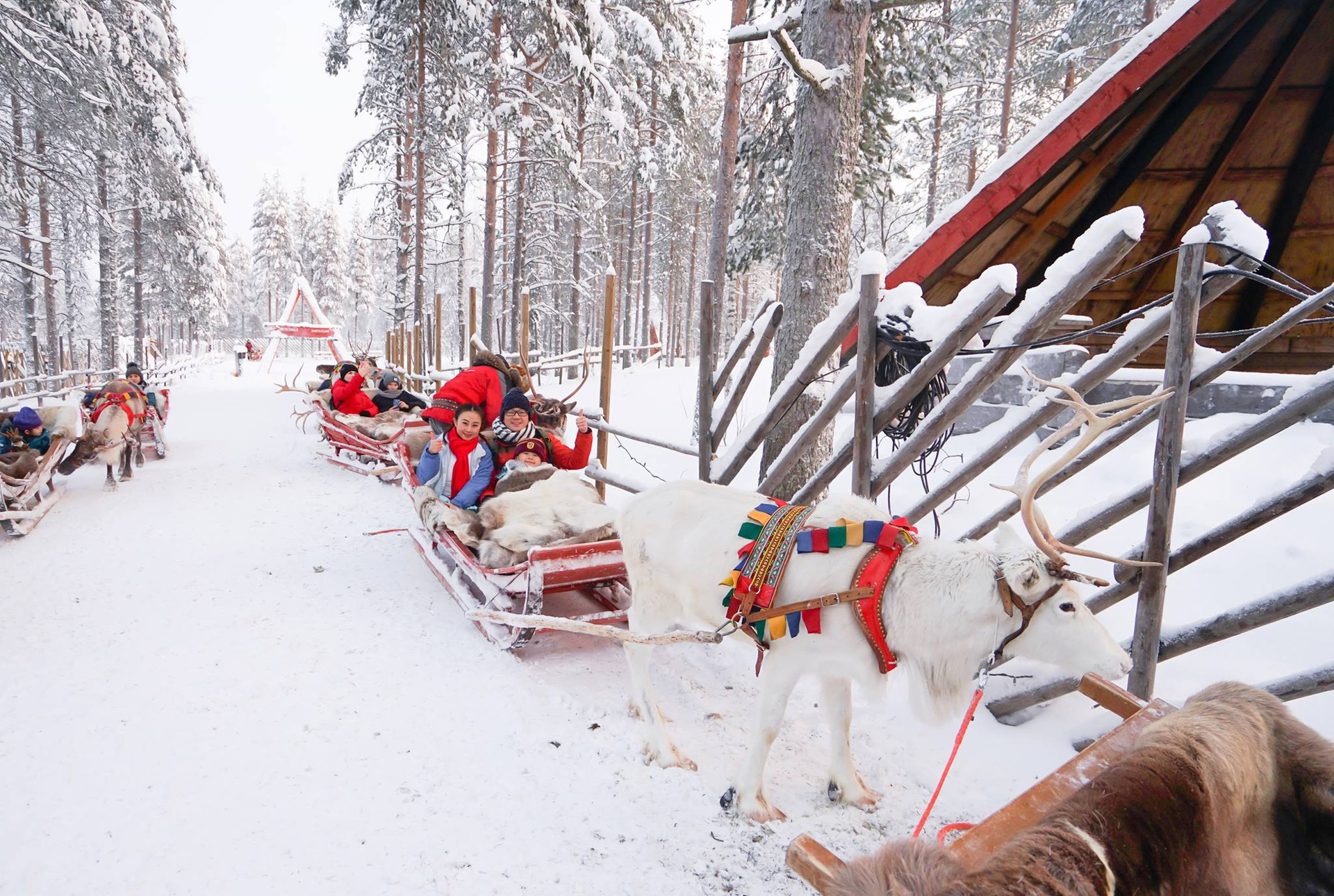 Giáng sinh đáng nhớ của du khách Việt tại Santa Claus, Phần Lan - 6