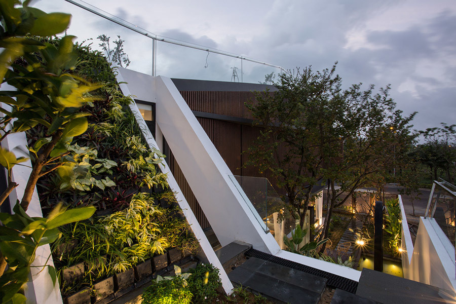 Biệt thự thiết kế vừa hiện đại vừa thực dụng với vườn rau trên sân thượng
