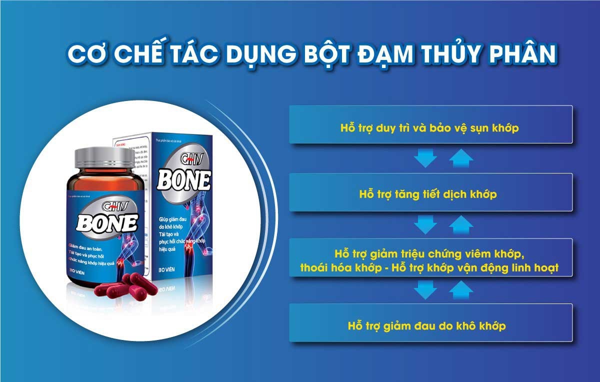 GenK Tea - Món quà dự phòng sức khỏe ung bướu, Tết tròn chữ Hiếu - 4