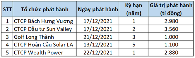 Loạt doanh nghiệp hút cả nghìn tỉ đồng từ trái phiếu nửa cuối tháng 12/2021 ảnh 1