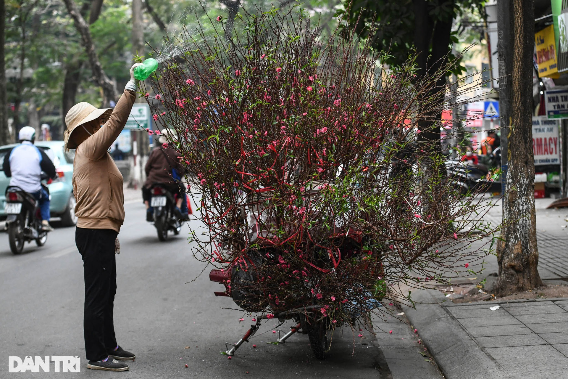 Sắc đỏ hoa đào len lỏi khắp phố phường Hà Nội ngày đầu tháng Chạp - 4