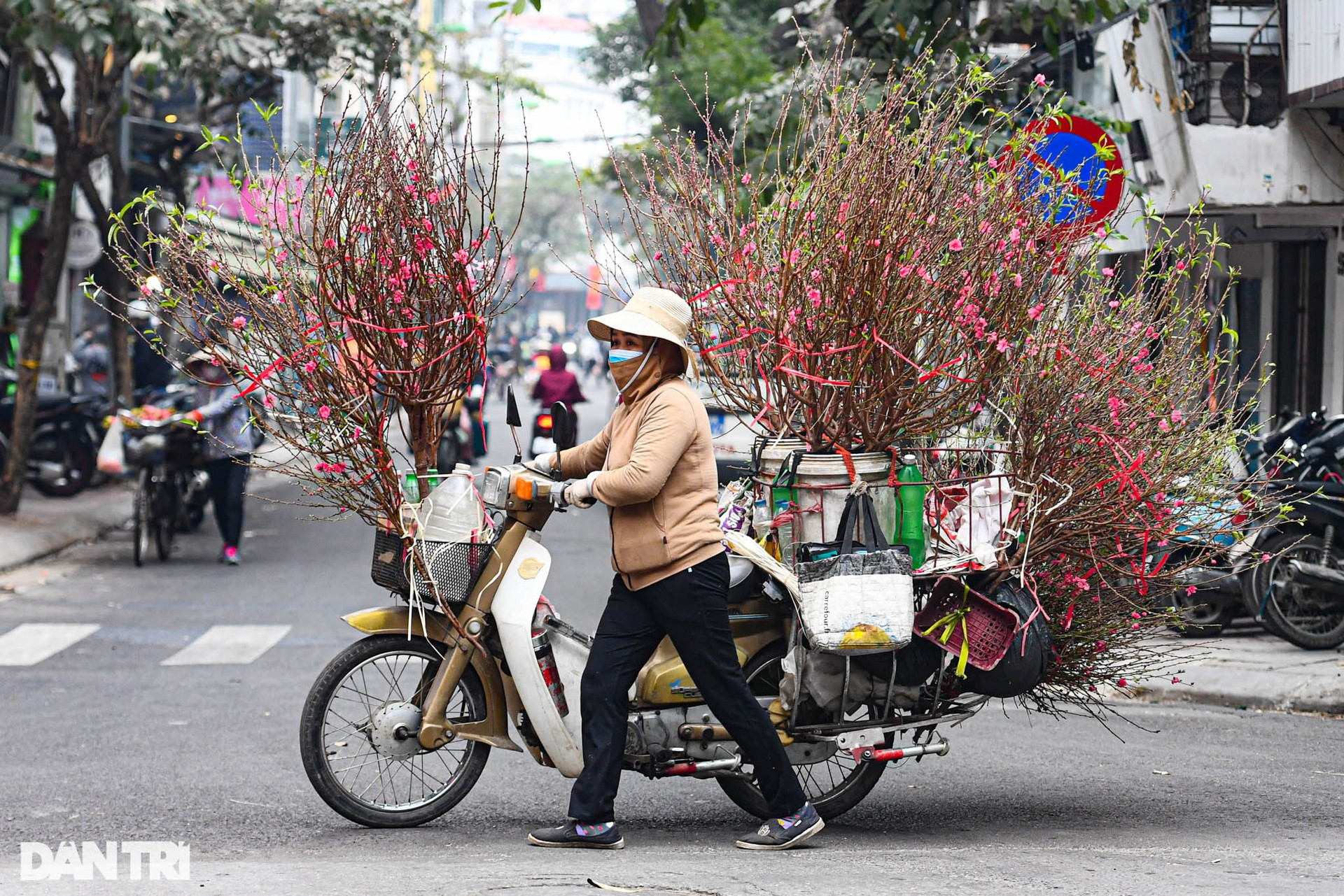 Sắc đỏ hoa đào len lỏi khắp phố phường Hà Nội ngày đầu tháng Chạp - 2
