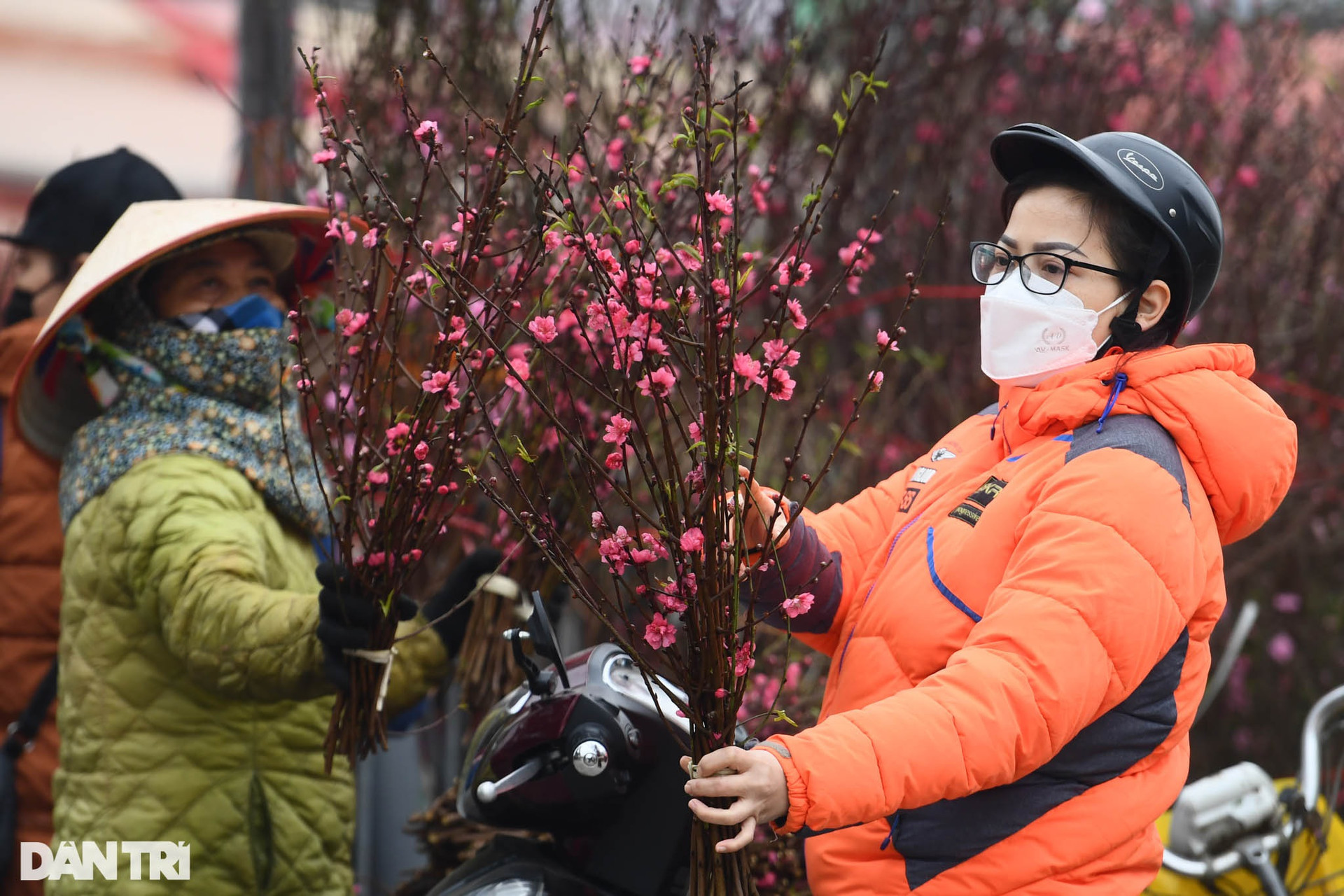 Sắc đỏ hoa đào len lỏi khắp phố phường Hà Nội ngày đầu tháng Chạp - 9