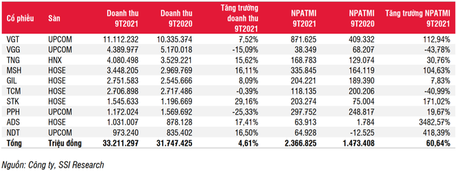 Cổ phiếu dệt may còn hấp dẫn trong năm 2022? ảnh 1