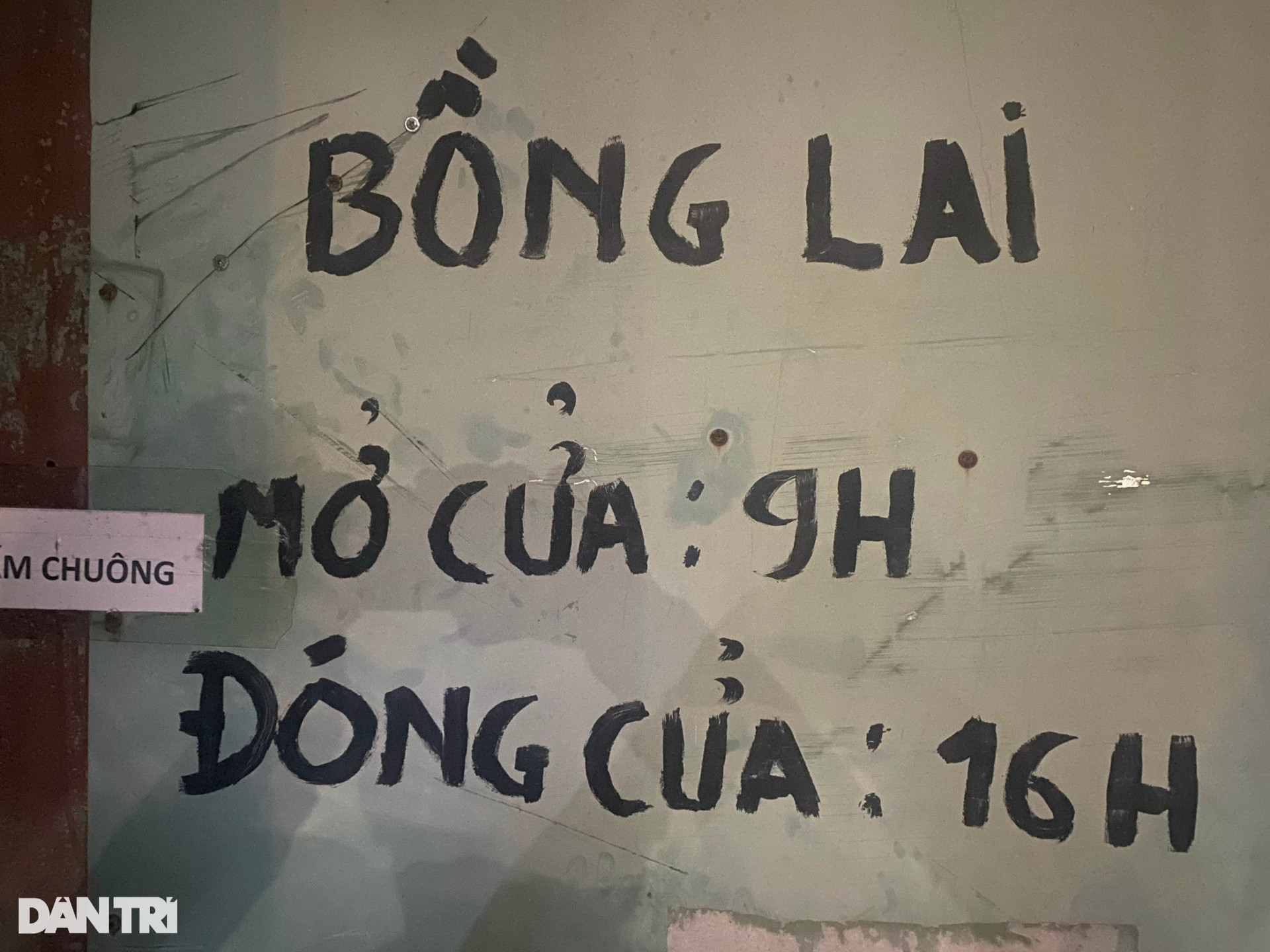 Nghe đồn Tịnh thất Bồng Lai có mật đạo, YouTuber cố bám trụ xuyên đêm - 3