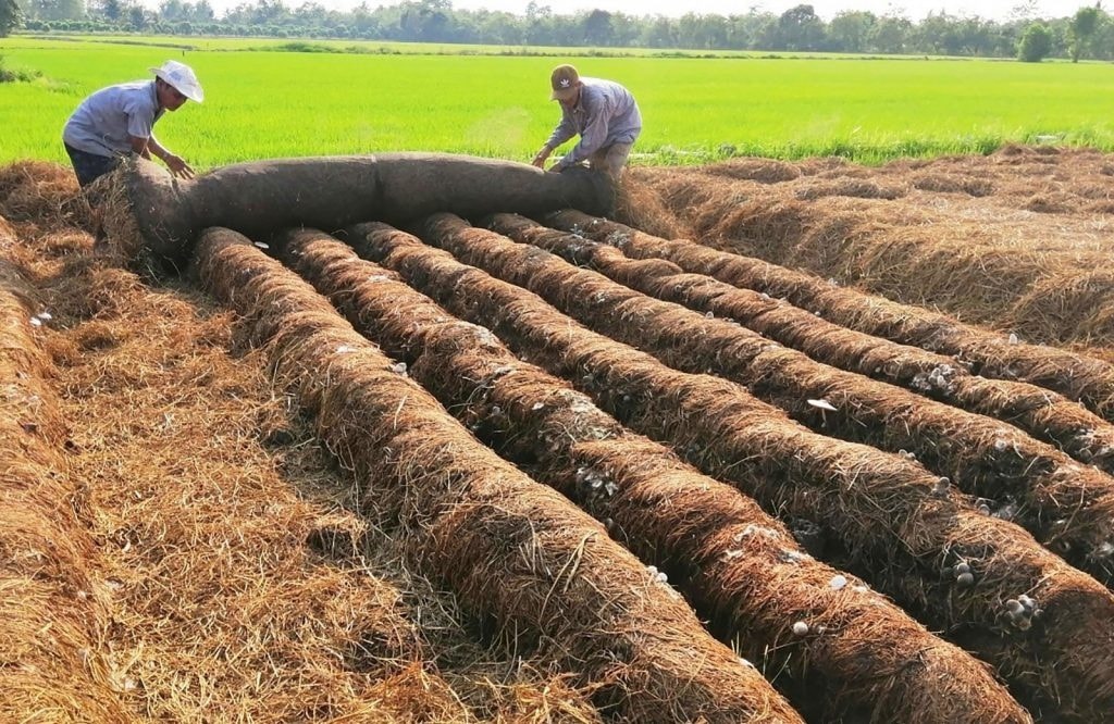 Nông nghiệp tuần hoàn - thước đo mức độ bền vững của quốc gia - 2 Nông nghiệp tuần hoàn - thước đo mức độ bền vững của quốc gia - 2