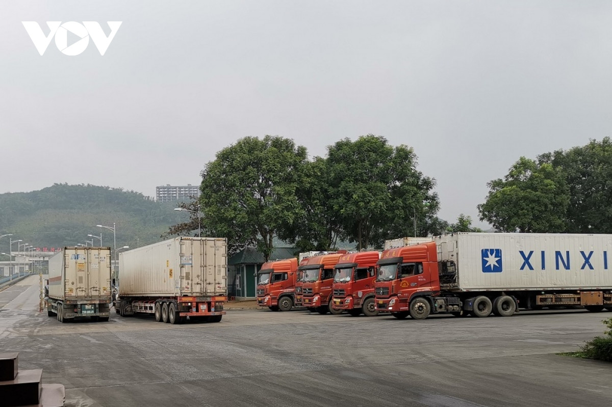 Ban Quản lý Khu Kinh tế Lào Cai: Trung Quốc sẽ không dừng cửa khẩu dịp Tết - 2