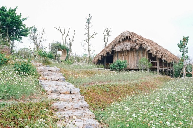 Ngẩn ngơ với khu du lịch tuyệt đẹp bên bờ sông Hồng nơi 'bán vé trở về tuổi thơ' ảnh 13