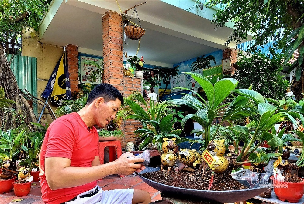 Hổ vằn ôm gốc dừa, bonsai độc giá 3 triệu đồng chơi Tết