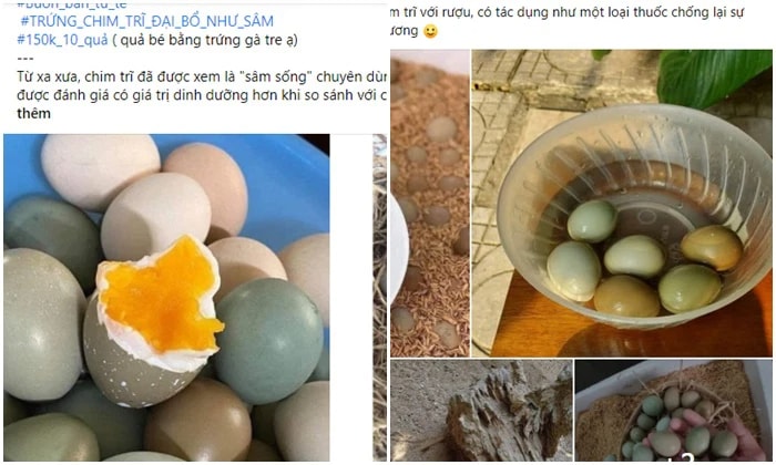 Loại trứng màu xanh đỏ bắt mắt, giá đắt gấp 10 lần trứng gà ta, chị em vẫn bất chấp lùng mua - Ảnh 3. Loại trứng màu xanh đỏ bắt mắt, giá đắt gấp 10 lần trứng gà ta, chị em vẫn bất chấp lùng mua - Ảnh 3.