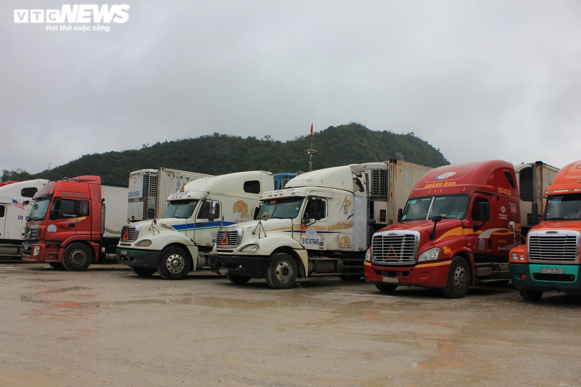 Lạng Sơn tạm dừng tiếp nhận xe chở hoa quả tươi lên cửa khẩu đến Tết Nguyên đán - 2