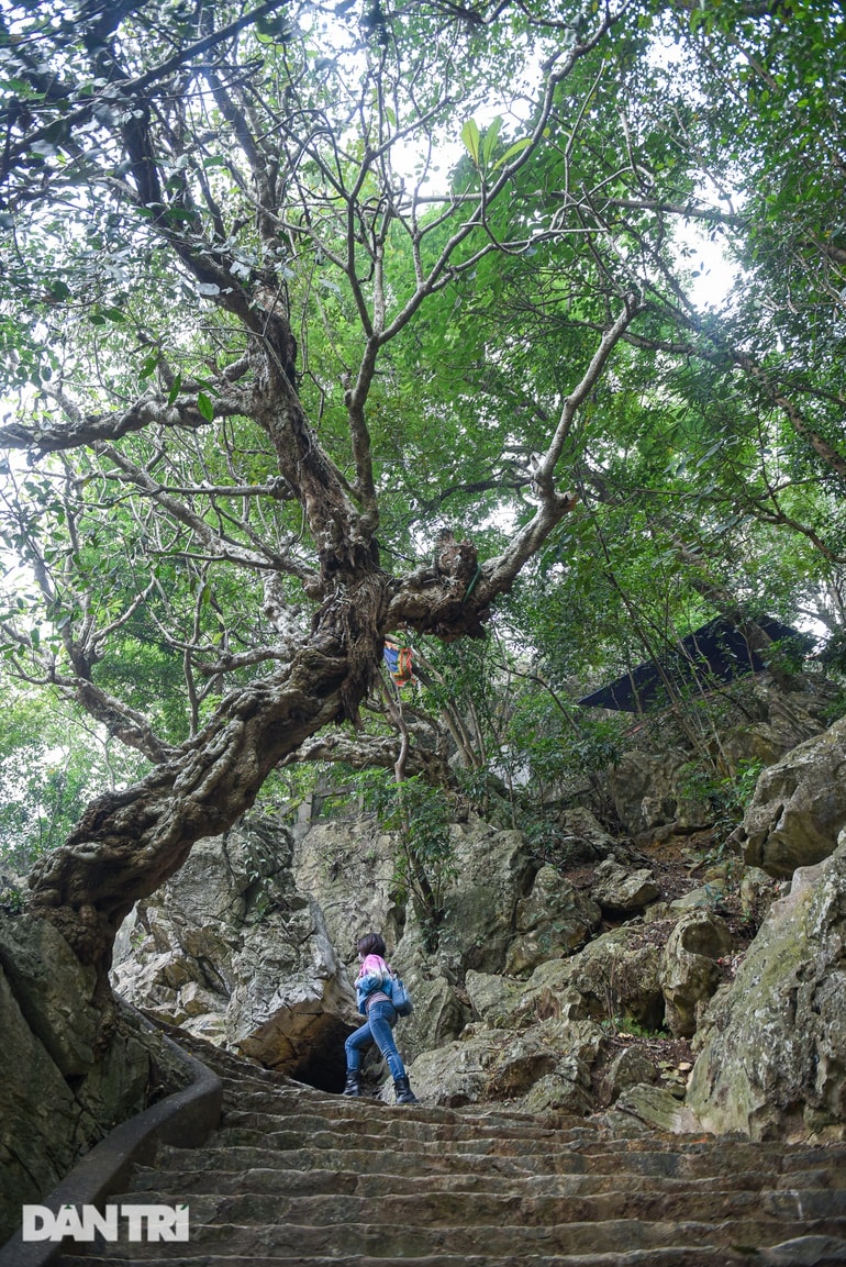 Mục sở thị ngôi chùa có hang 