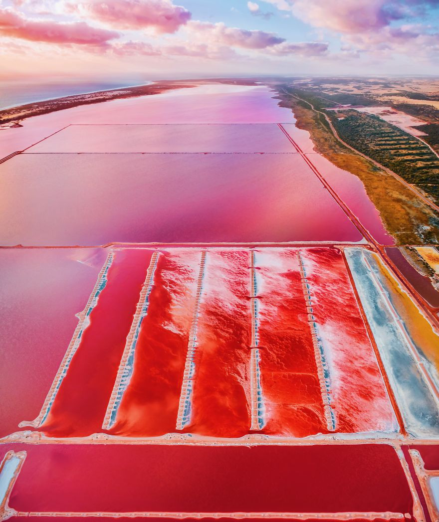 Loạt tác phẩm nhiếp ảnh tuyệt đẹp về hồ nước màu hồng kỳ diệu ở Tây Úc - 10