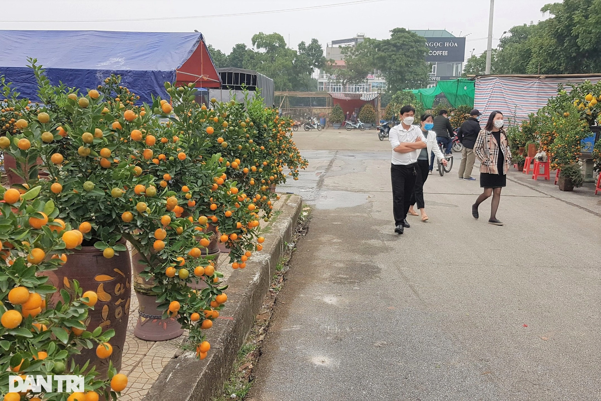 Đi chợ hoa xuân Ninh Bình phải mang căn cước công dân, xét nghiệm Covid-19 - 2