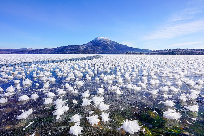 Hoa tinh thể tuyết cực đẹp nở đầy trên mặt hồ băng giá - 2