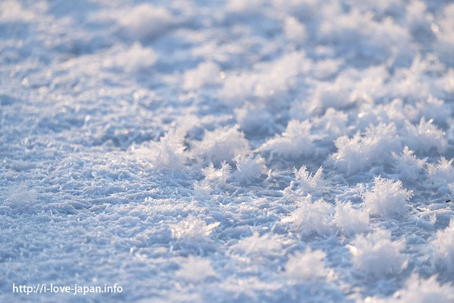 Hoa tinh thể tuyết cực đẹp nở đầy trên mặt hồ băng giá - 4