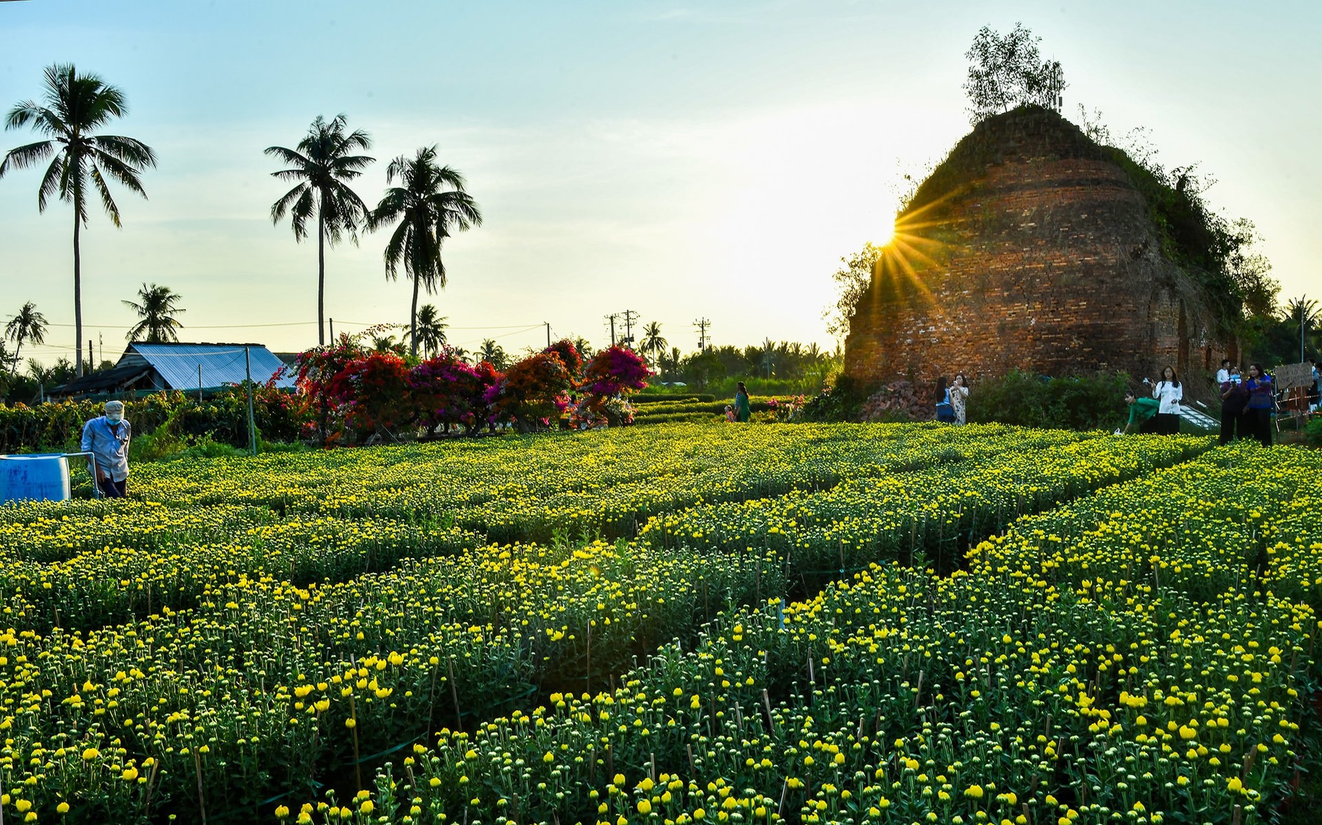 Check-in làng hoa kiểng lò gạch ở Bến Tre - 11