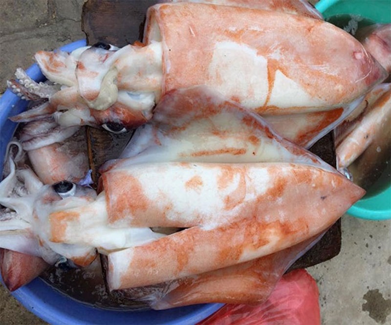 Hai loại mực khổng lồ “cháy hàng” ở Việt Nam giá thế nào? - Hình 2 Hai loai muc khong lo “chay hang” o Viet Nam gia the nao?-Hinh-2