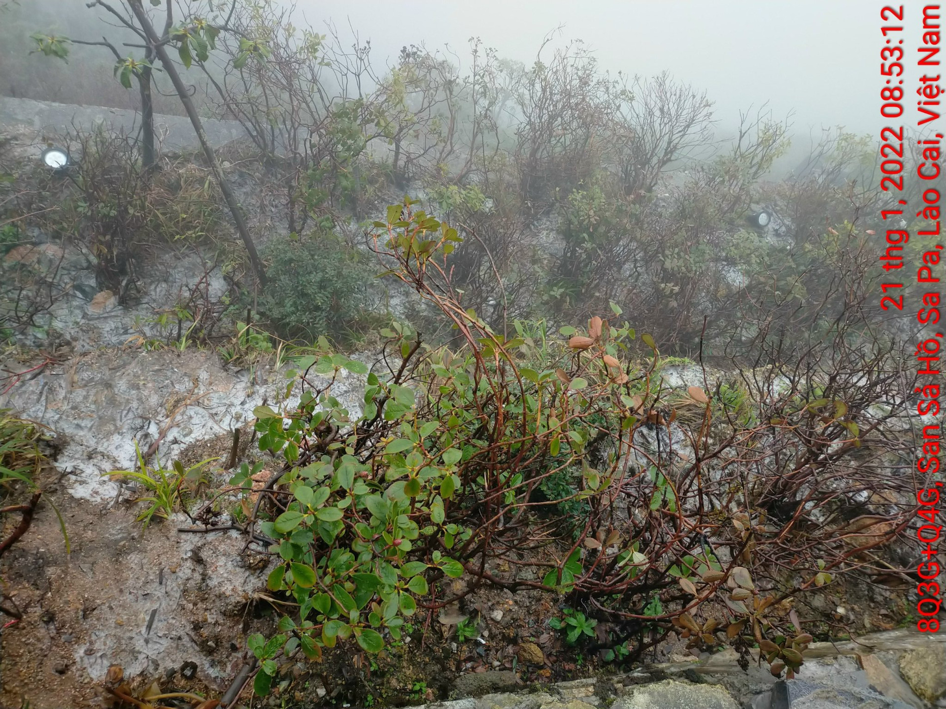 Xuất hiện trạng thái thời tiết đặc sắc mưa lẫn tuyết trên núi Fansipan - 3