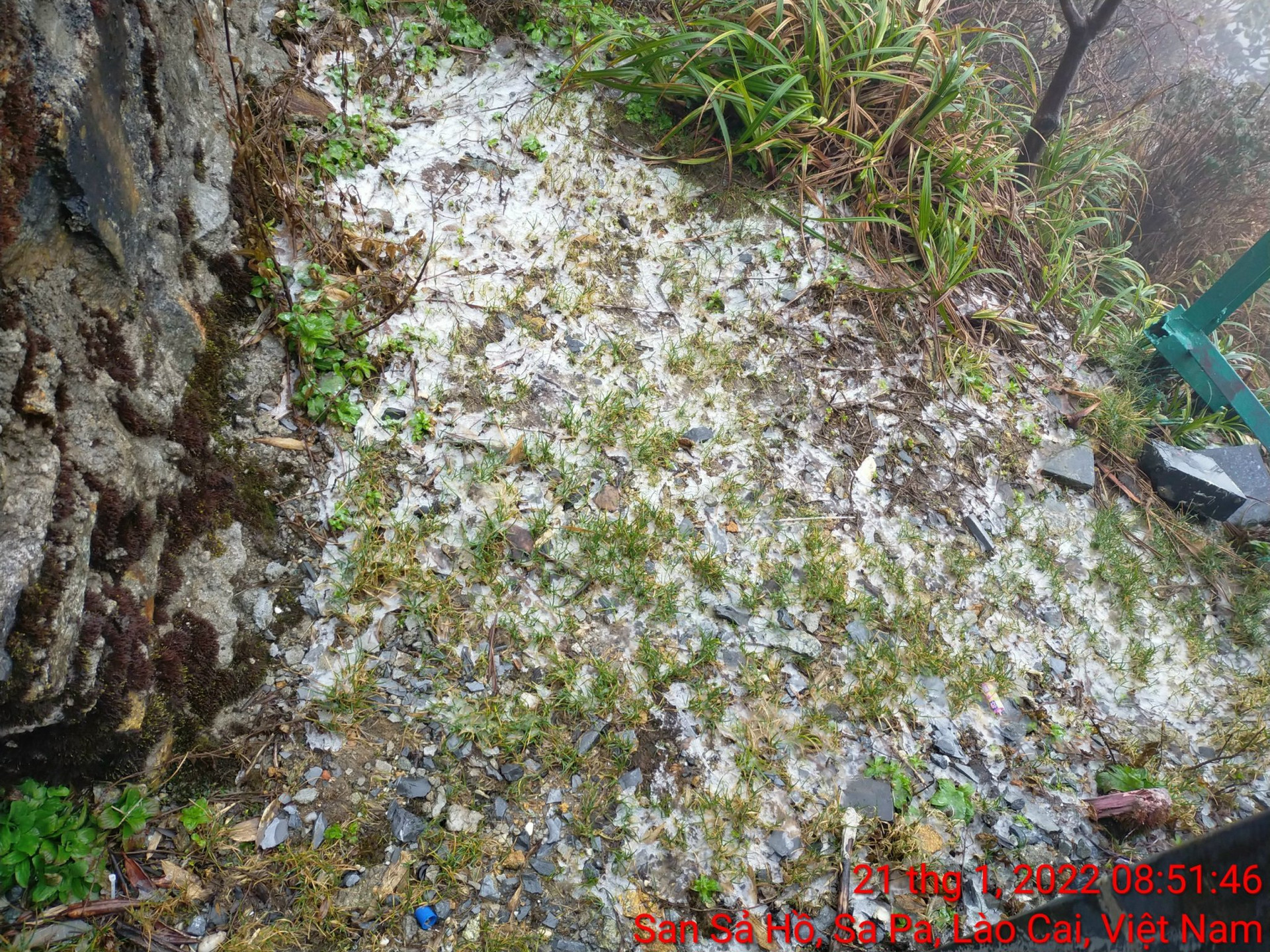 Xuất hiện trạng thái thời tiết đặc sắc mưa lẫn tuyết trên núi Fansipan - 2