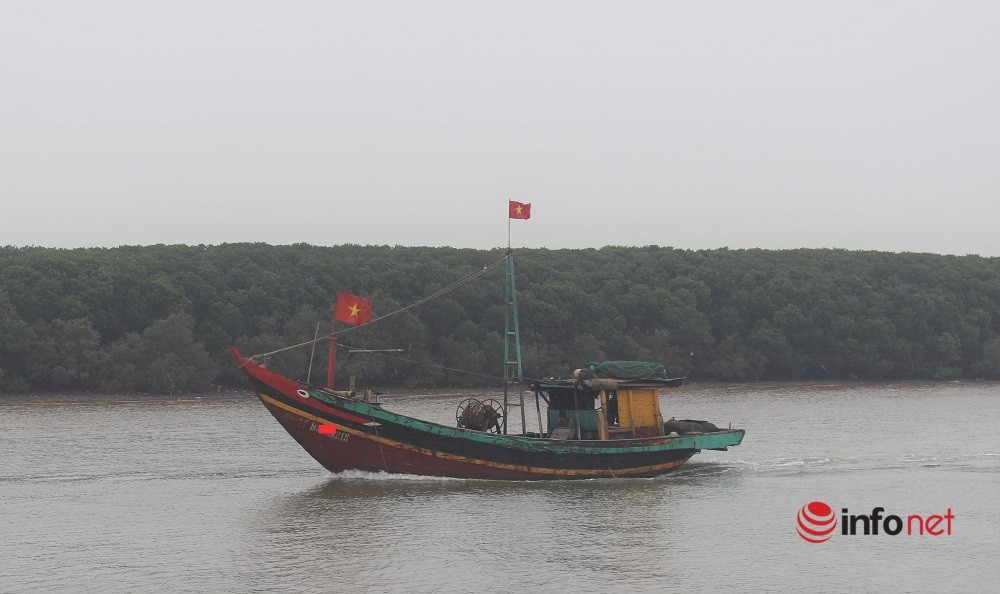 Nghệ An: Tìm kiếm ngư dân rơi xuống biển mất tích hơn 1 ngày