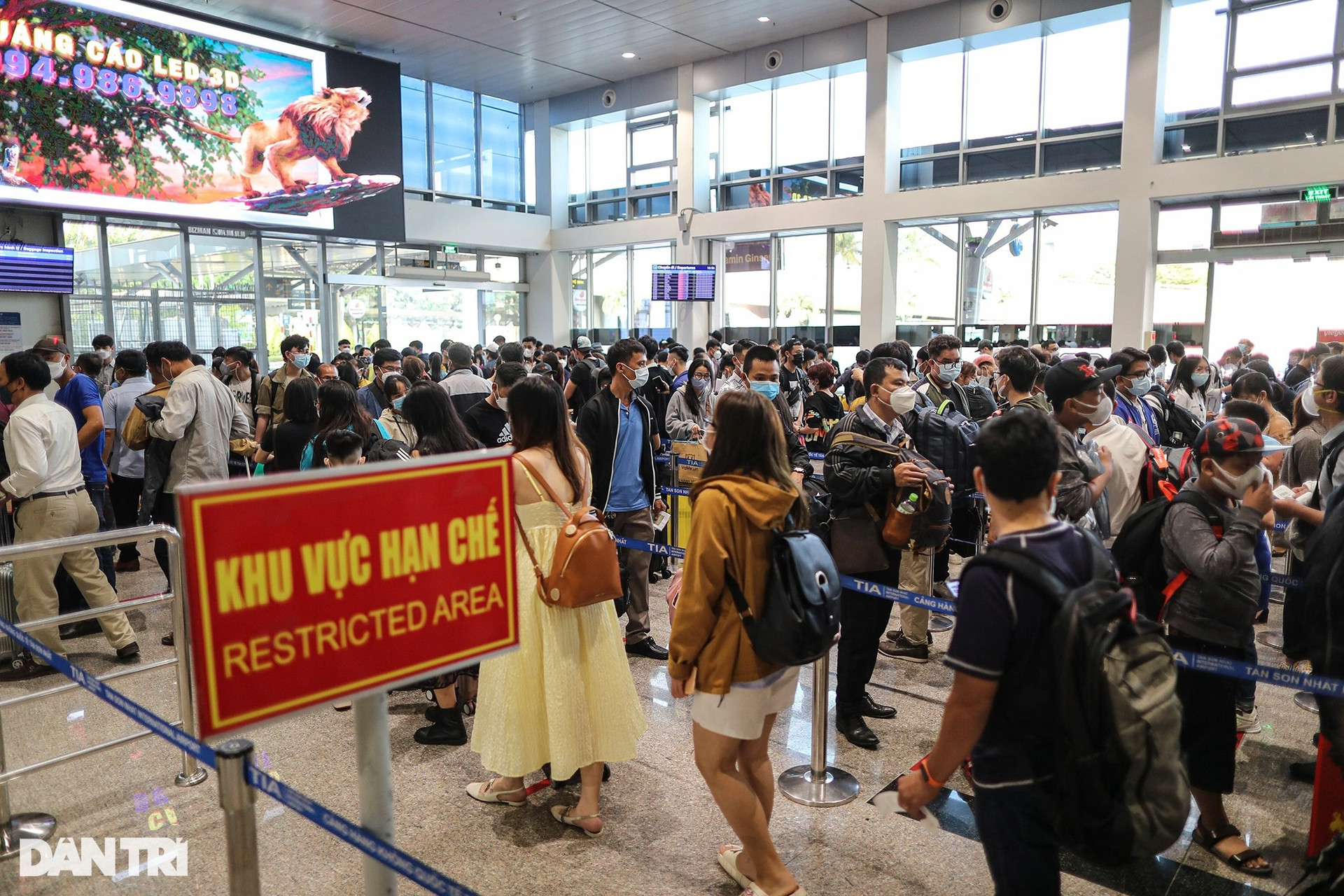 Vì sao hàng nghìn hành khách phải chực chờ ở Tân Sơn Nhất? - 1
