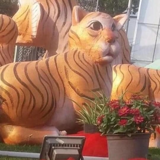 Bình chọn hoa hậu hổ hài hước, hổ ngờ nghệch và hổ linh cẩu tranh ngôi - 3 Bình chọn hoa hậu hổ hài hước, hổ ngờ nghệch và hổ linh cẩu tranh ngôi - 3