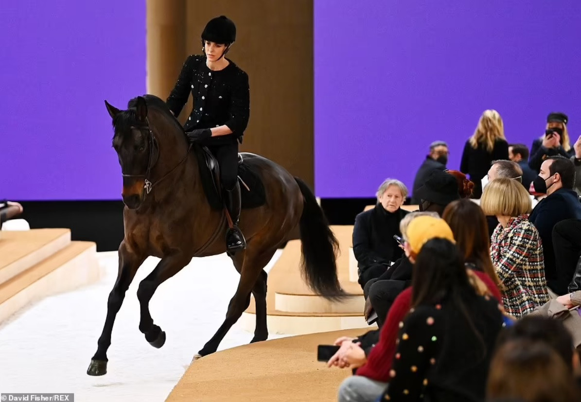 Thần thái đỉnh cao của nữ quý tộc cưỡi ngựa trong show thời trang quốc tế - 3