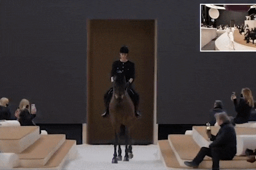 Thần thái đỉnh cao của nữ quý tộc cưỡi ngựa trong show thời trang quốc tế - 1
